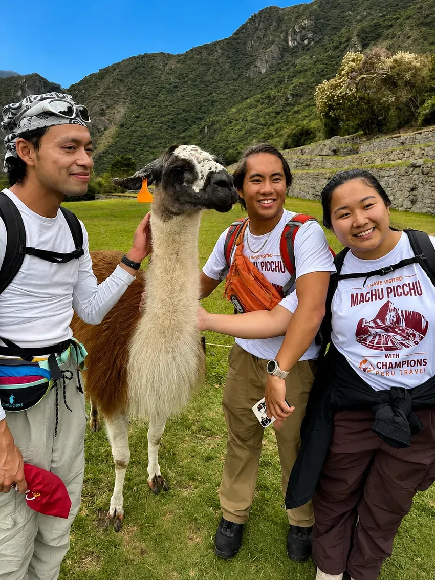  2-day Inca Trail hikers at Machu Picchu with a llama